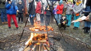 IMG20230224102603 (Copy)